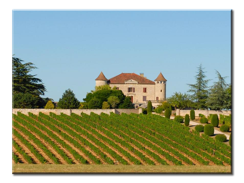 French VIneyard Canvas Wall Art - Large One Panel