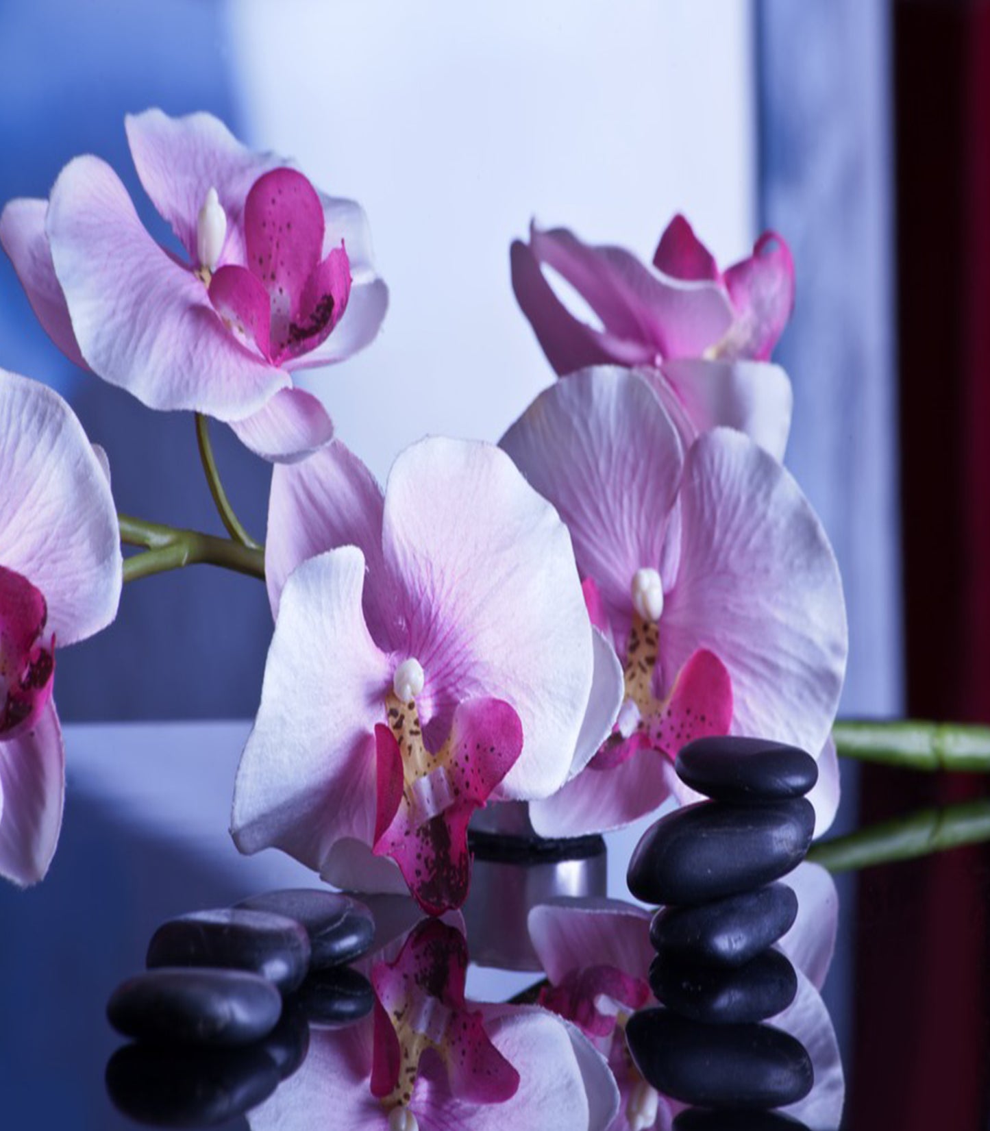 Purple Orchids Stones Spa Canvas Wall Art - Large One Panel