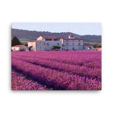 Lavender Field in France Canvas Wall Art Large 24" width X 18" Height