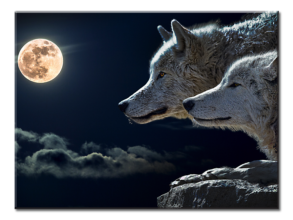 Wolves-Moon Canvas Wall Art | Native American Canvas Wall Art Large One Panel