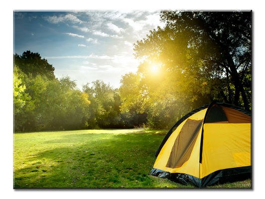 Camping Tents In The Forest Canvas Wall Art - Large One panel