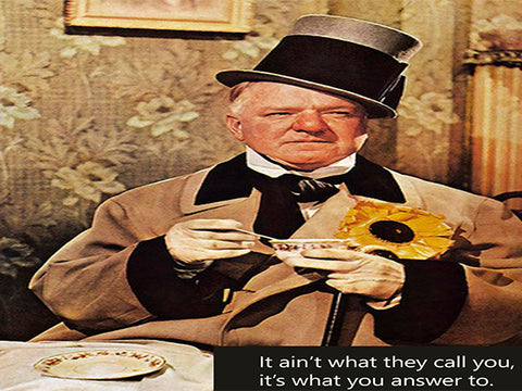 W.C. Fields - Teapot Sayings - Canvas Wall Art - Large One Panel